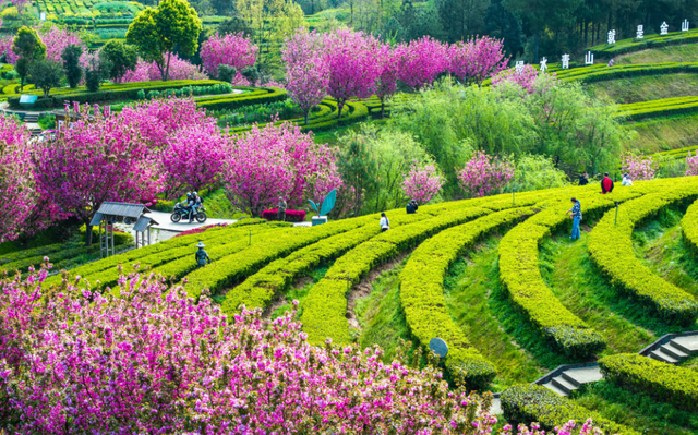 11月29日-12月1日，2025中国美丽乡村广场舞大赛即将燃动巴中！