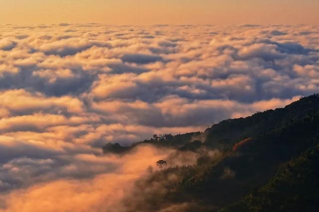 遇见临沧 如回故乡 | 这里的一叶茶、一朵云，让他们从“看一眼”到“留下来”