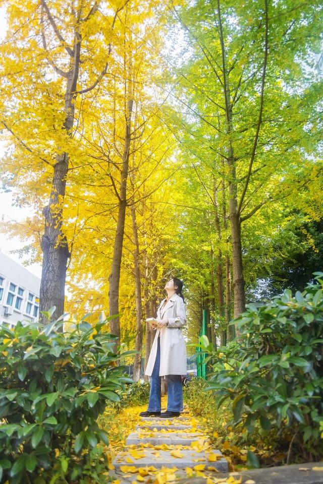 限时绝美！年度顶流！