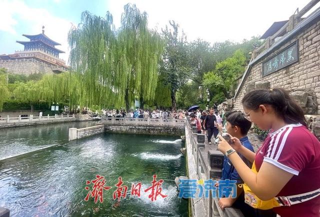 一年四季 泉在济南丨暑假进入后半程 泉水游热度不减