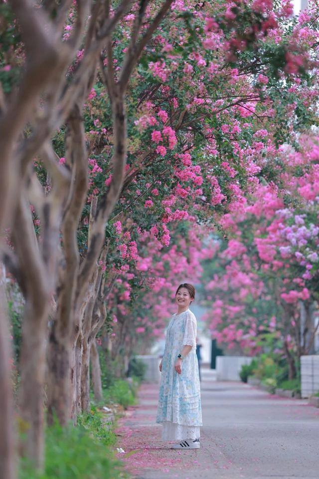 沉醉于花海！日照这个村，太美啦！