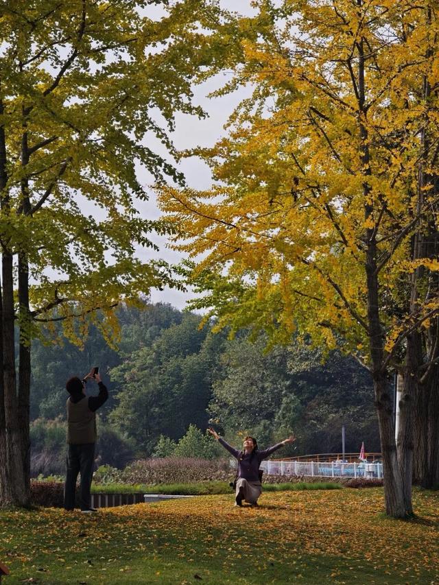 开福上新色：捕捉开福黄调时刻