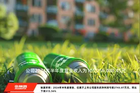 瑞晨环保：2024年半年度报告，归属于上市公司股东的净利润亏损2743.87万元，同比下滑315.56%视频封面