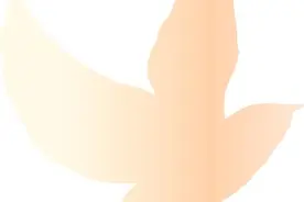 广州入选新一批国家物流枢纽建设名单图片