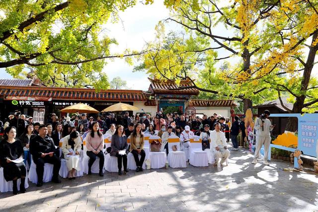 杏运春城，鸥遇昆明！昆明开启2025赏杏观鸥季