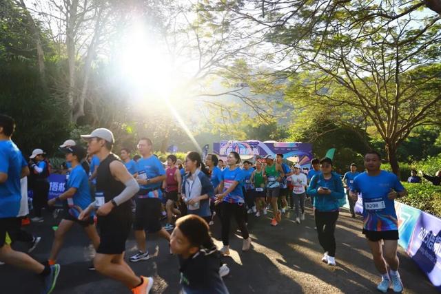 三大世界冠军助阵！直击2025梧桐山登高赛！