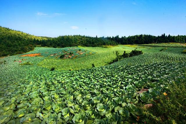 利川云雾山：日月绣岭结仙梁