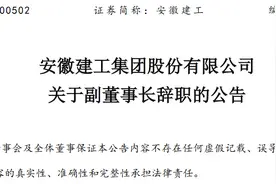 安徽建工集团股份有限公司副董事长刘家静辞职图片
