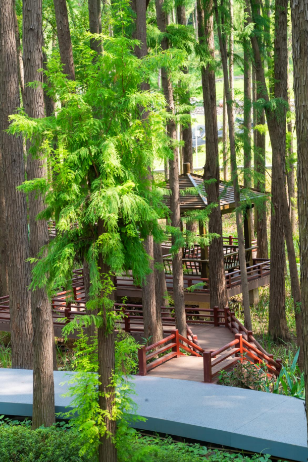 最好的秋天，在华师！