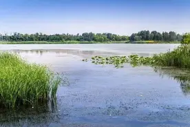 青未了·我写高考作文|人工智能AI应用须以道德法律护航图片