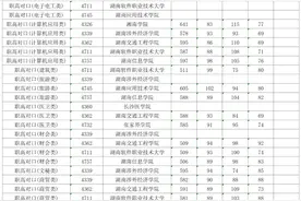 来了！湖南本科批(职高对口)第一次征集志愿投档分数线公布图片