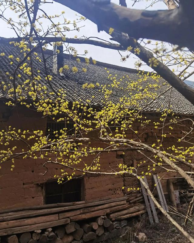 陈仓：文学小屋