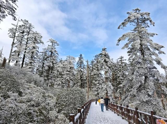 秋假封神目的地！瓦屋山飘雪啦！美到不想回家~