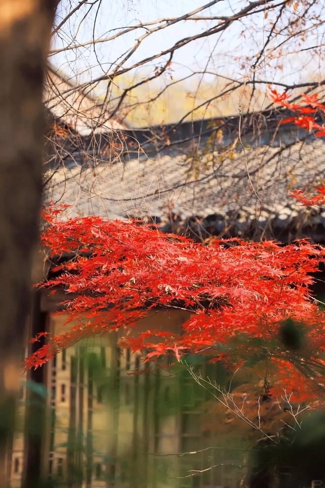 当代人需要的情绪价值，镇江给你！