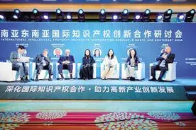 开展国际知识产权合作 云南大有可为图片