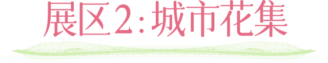挤爆莲花山！深圳20万m²超大型花展，今天开始