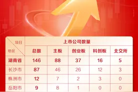 湖南上市公司年度数据里藏着哪些“潜力股”图片