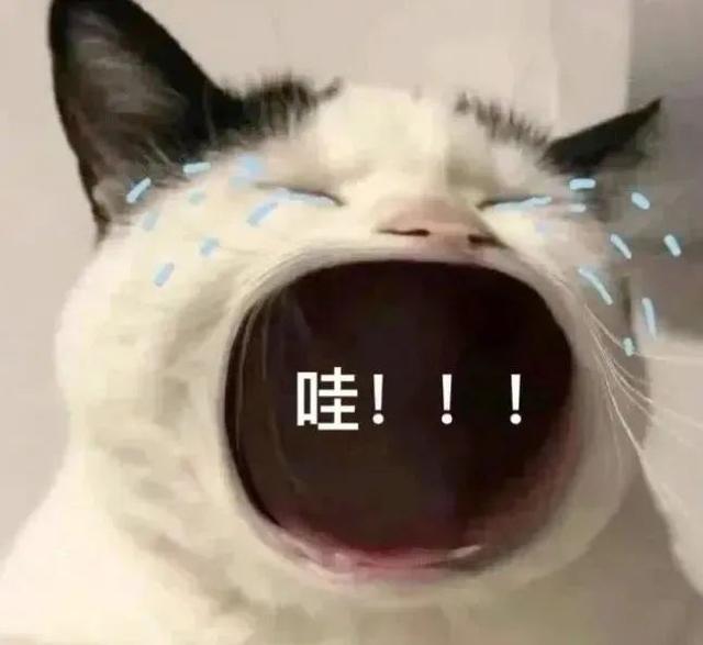 浙江一男子去处理违章，交警感觉他“不太对劲”，一检测，现场气氛凝固了起来……