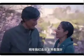 张家界向《苦尽柑来遇见你》剧组发韩文邀请函：共赴“柑来之旅”“落叶之约”图片