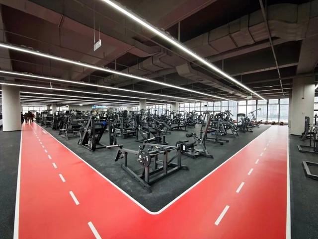 顺德北部创新湾已备好“年味大餐”，游玩攻略→