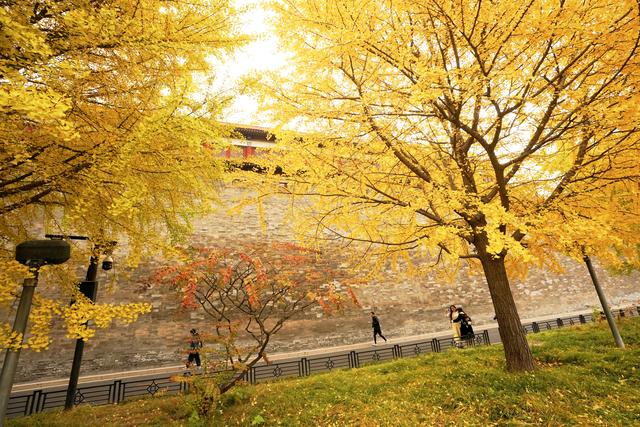 故宫筒子河畔，秋色醉人