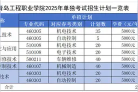 青岛工程职业学院2025年单招、综招计划290人图片