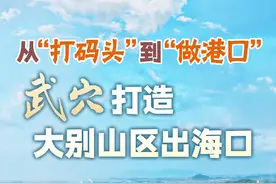 今日好稿丨从“打码头”到“做港口”，武穴打造大别山区出海口图片