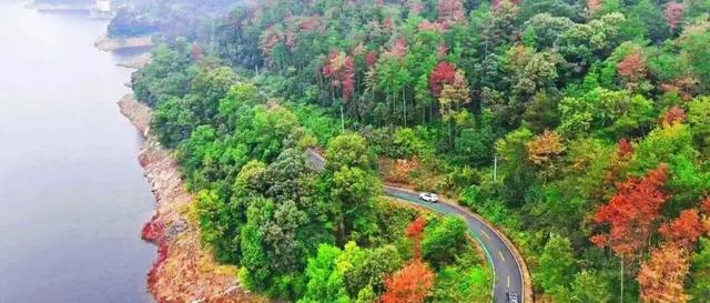 科技助力，随州盘活文旅大棋