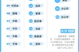800多家假国企的千层套路，我们扒开了图片