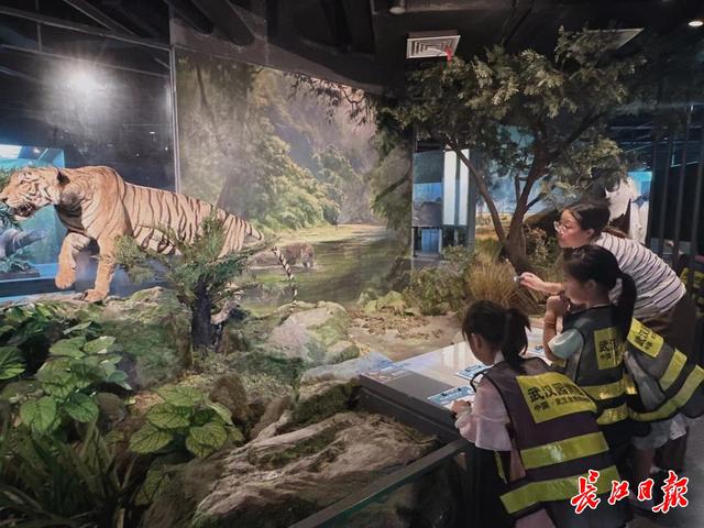 从“水秀”爆满到夜赏长江，武汉凭“夜游IP矩阵”跻身暑期全国热门目的地