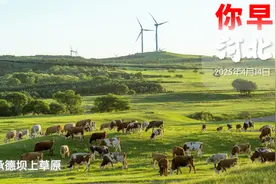 你早，河北｜今天大风过程趋于结束；中国正在团结各方力量；特朗普为何退缩了；尹锡悦今日过堂图片