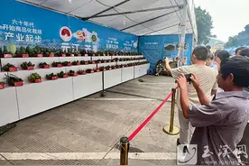 有一种叫云南的生活 • 碧玉清溪 象往之地丨中国 • 元江第二十一届金芒果文化旅游节盛大开幕图片