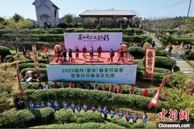 福州“喊山”祭茶 开启春茶采摘季图片