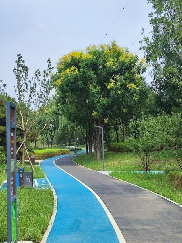 探秘王佐镇翡翠山公园