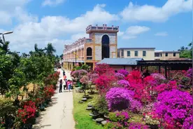 万宁万城溪边村：发展三角梅美丽产业 村美民富产业兴图片