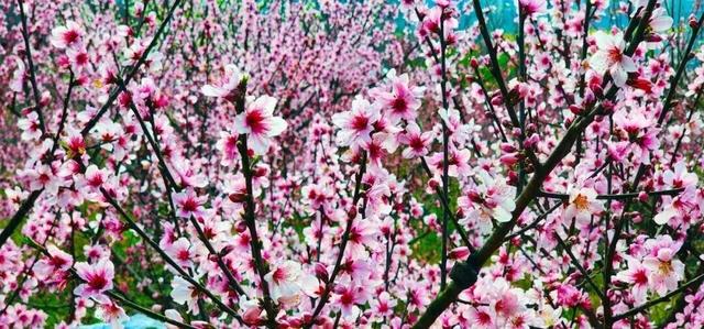 今天起，德阳将有一个新名字！