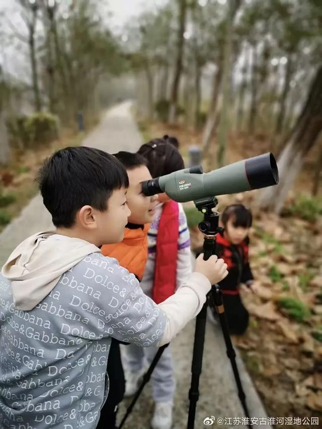 立冬第一游去哪里？淮安5处目的地，这个时节美翻了！