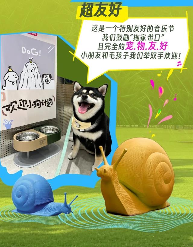 官宣！音乐节免票
