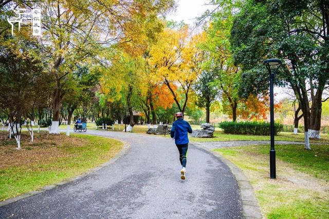 秦淮citywalk｜七桥瓮湿地公园