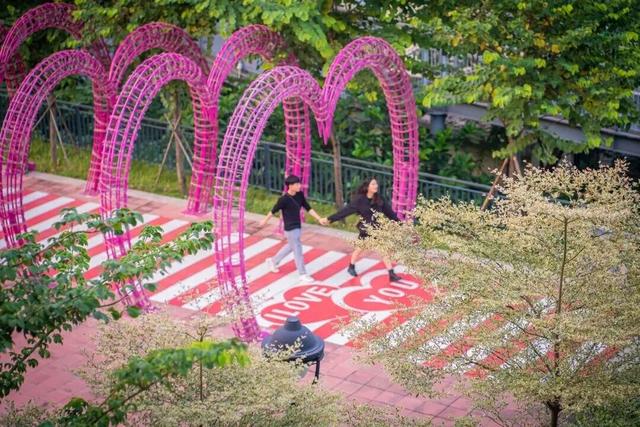 重阳登高好去处，顺德这些打卡点让你尽揽秋色！