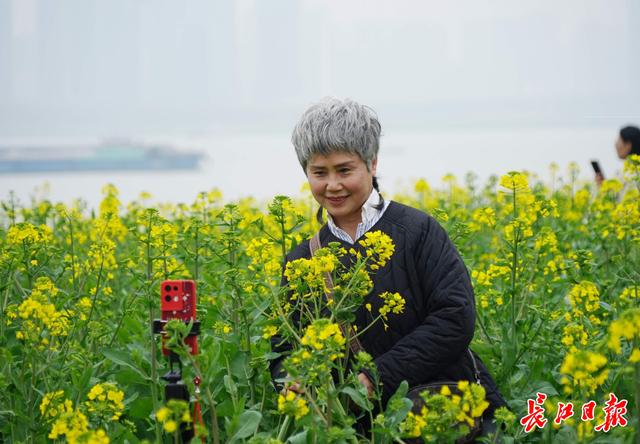 “三八”国际妇女节，灯塔花海游人如织