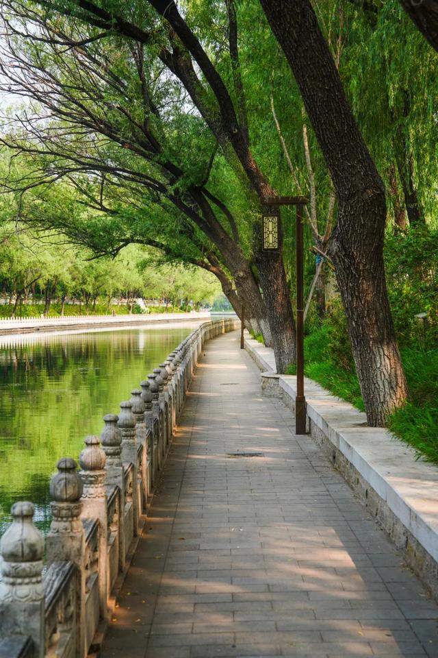 颐和园⇋动物园水岸联通，行走中感受流动的京城画卷