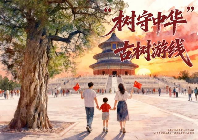 北京古树 家国情怀 国庆古树游线等您来体验