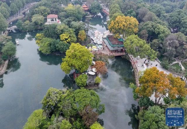 秋声渐杳 斑斓成诗