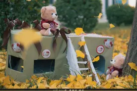 可可爱爱！看山东这所高校如何用环保材料做猫屋图片