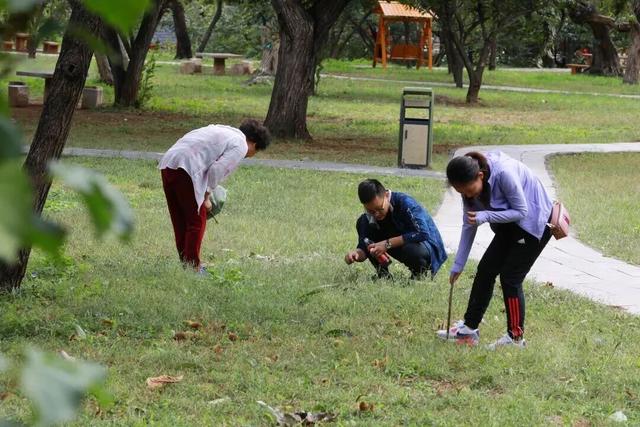 免费采摘板栗！共赏“雄关皓月”！金秋北京长城游玩攻略请收下——