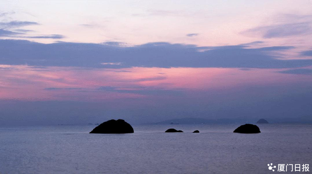 为什么是厦门？