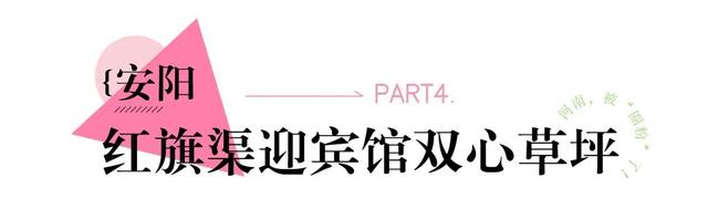 河南，被圈“粉”了！