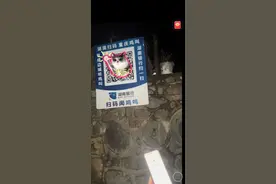 游客湖南扫码听重庆鸡叫 网友：是不是这边到账那边电鸡屁股图片
