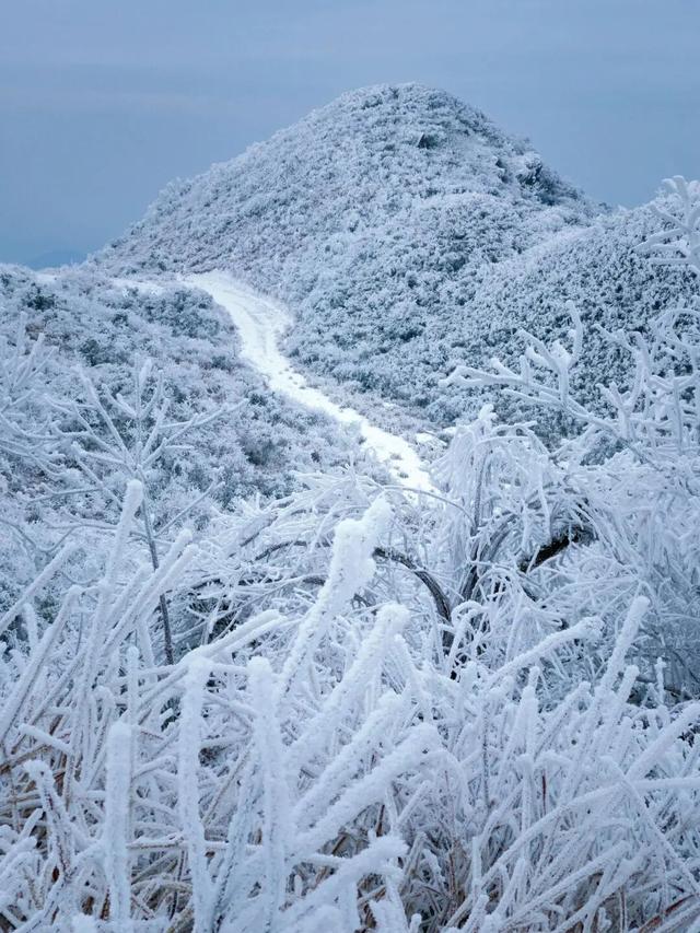 多地下雪！广西限定版“冰雪世界”已上线